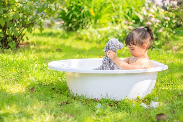 Où trouver des peluches Pokémon de collection ?