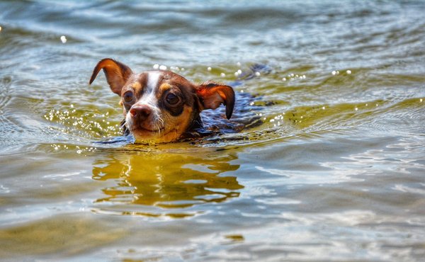 Quelles bases pour démarrer en tant qu'instructeur de yoga ?